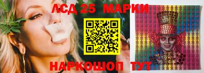 гашик Бердск