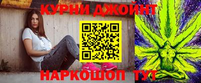 гашик Бердск