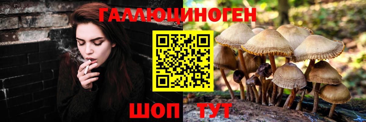 Богородицк  Галлюциногенные грибы мицелий  Вход с VPN 